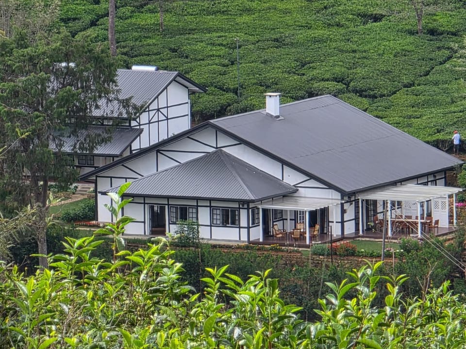 Property building, Natural landscape, Garden