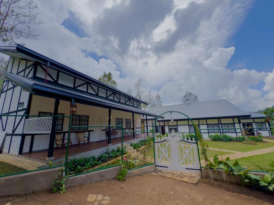 Property building, Garden, Garden view