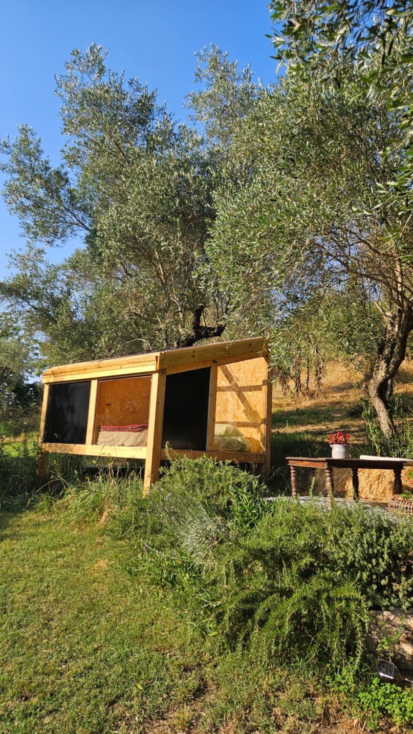 The SkyRoom - AUT vita sotto gli alberi Campground/ 
RV Resort in Lazio
