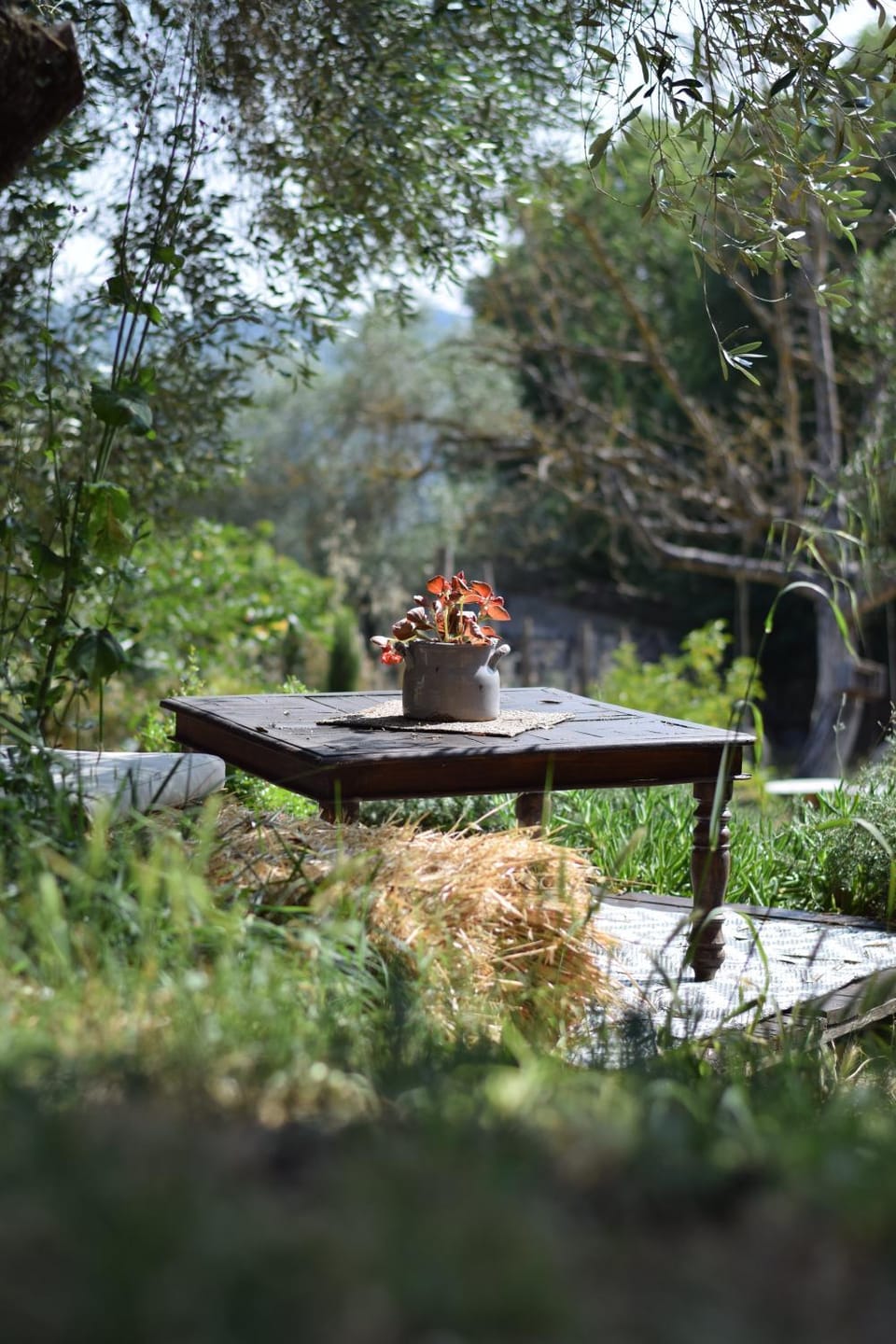 The SkyRoom - AUT vita sotto gli alberi Campground/ 
RV Resort in Lazio