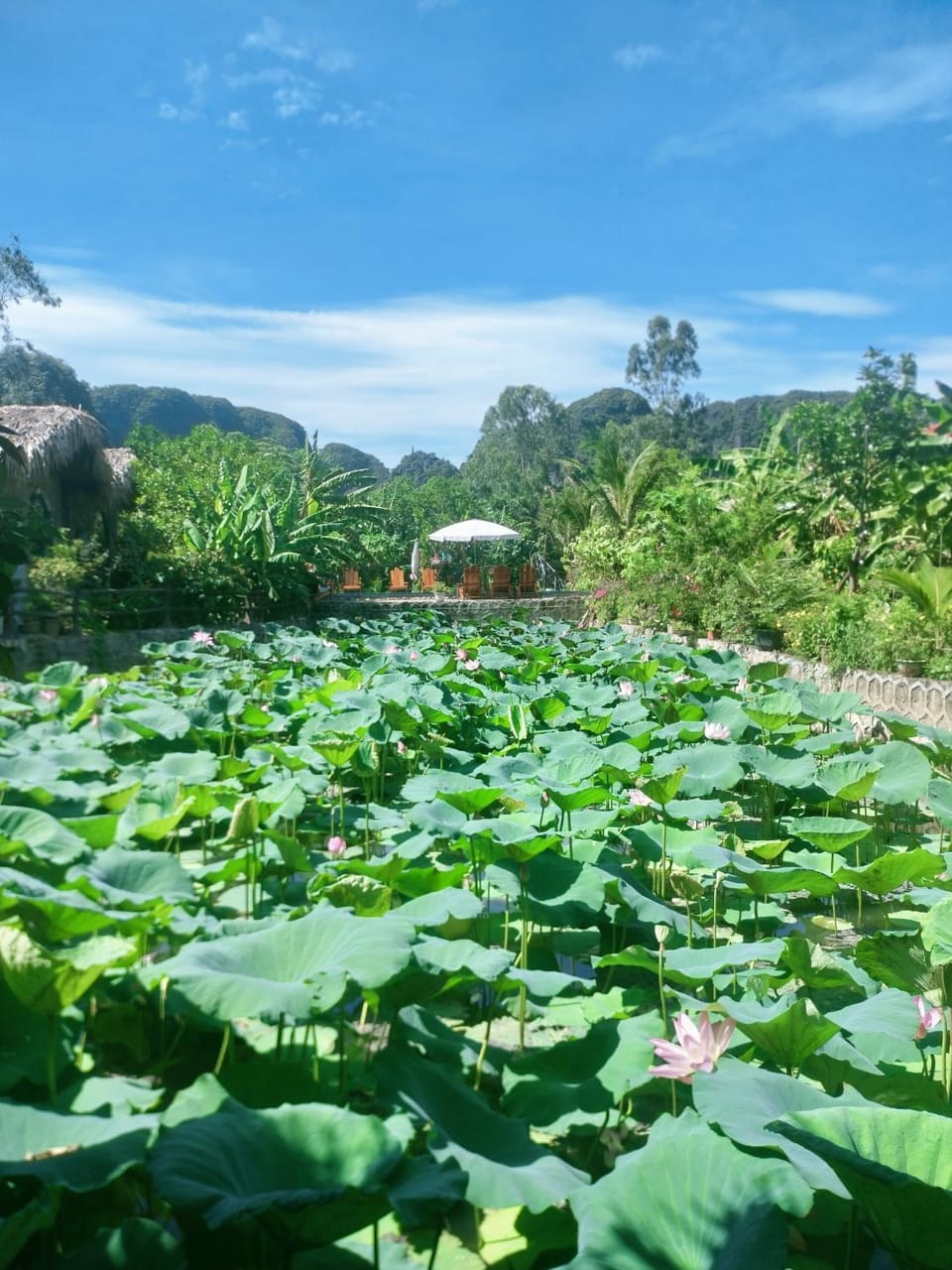 Hang Mua Cozy Homestay Vacation rental in Laos