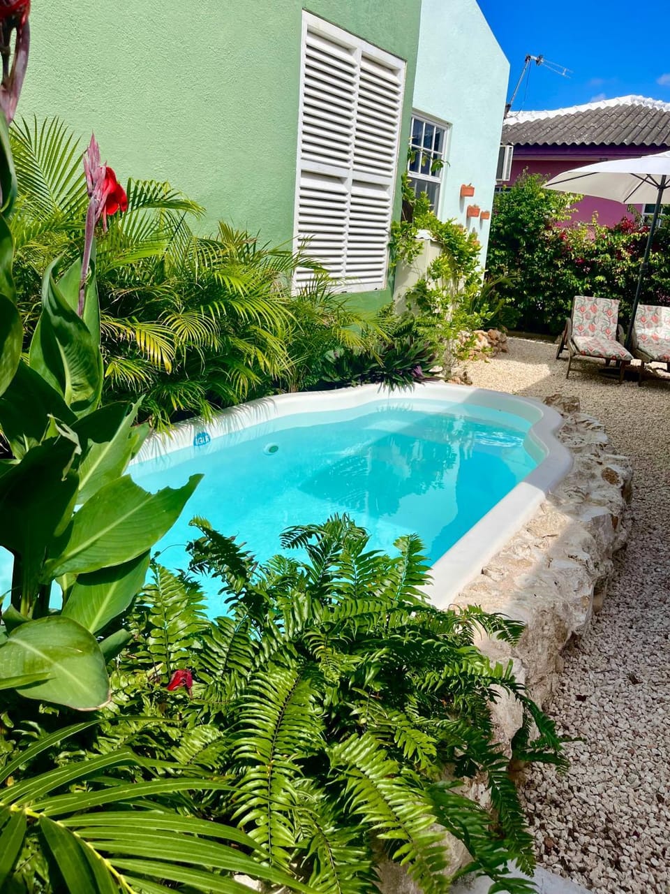 Garden, Swimming pool, sunbed
