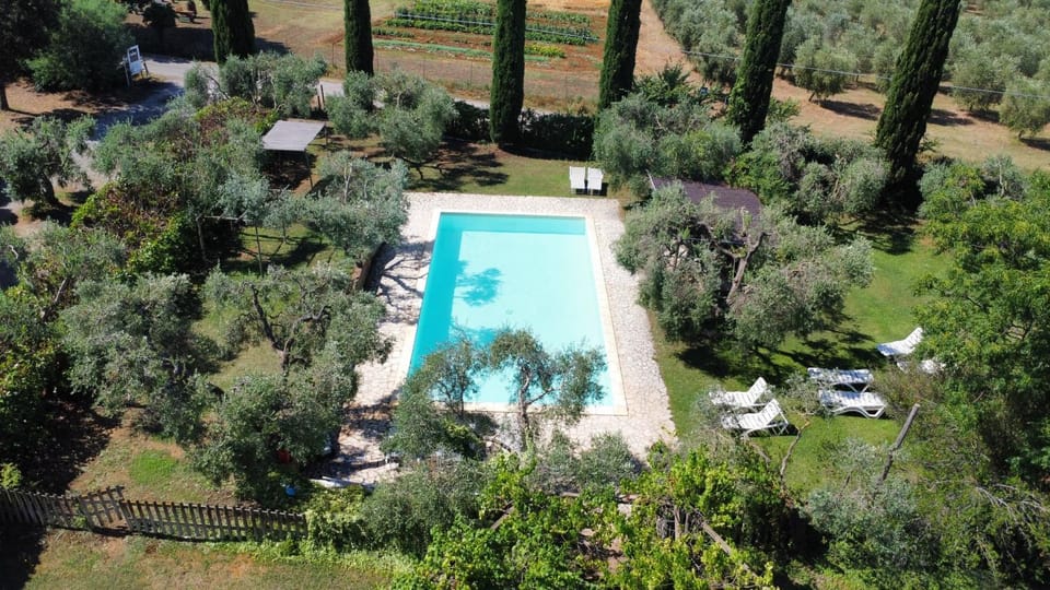 Bird's eye view, Garden view, Pool view