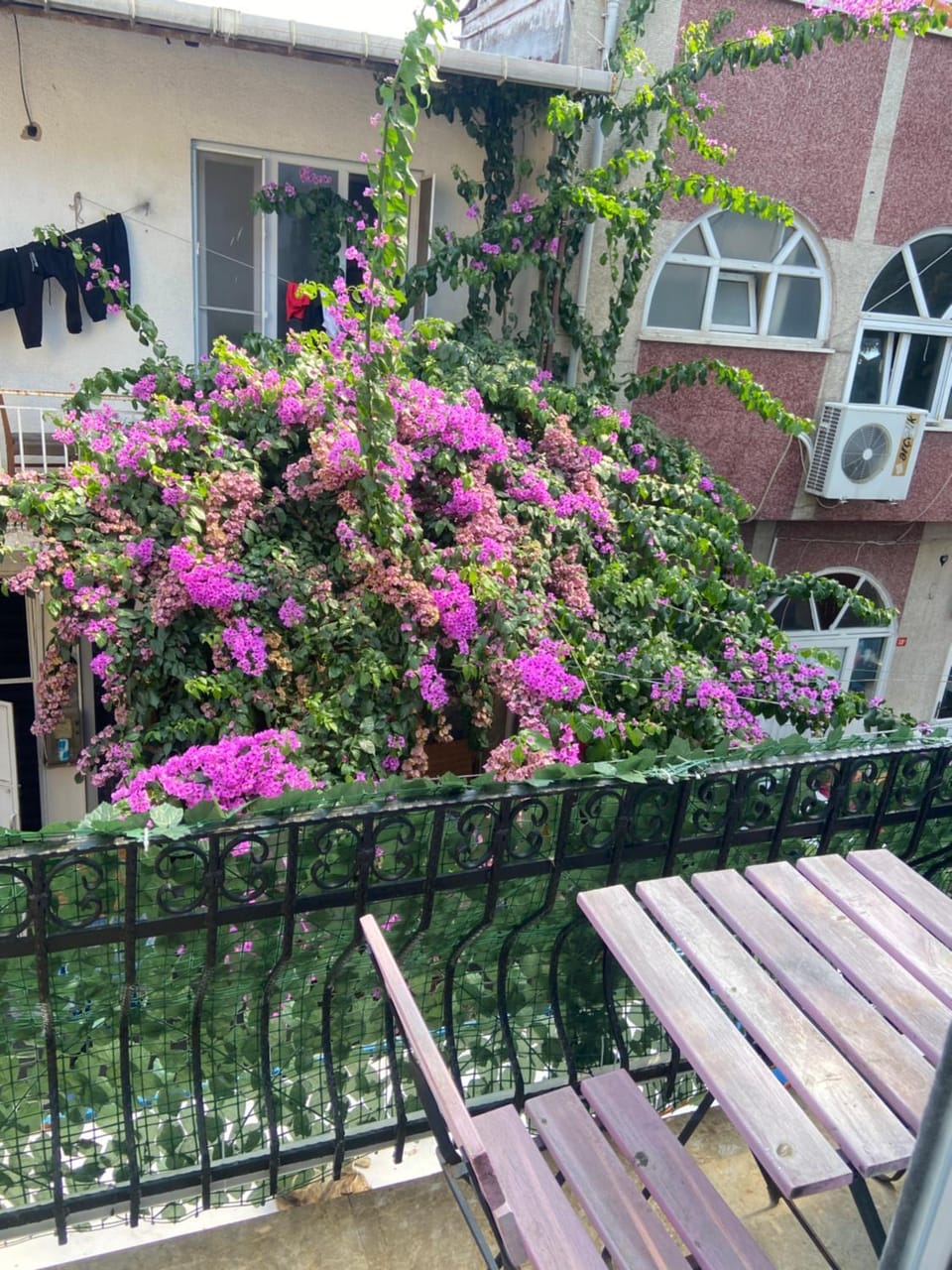 Day, View (from property/room), Balcony/Terrace