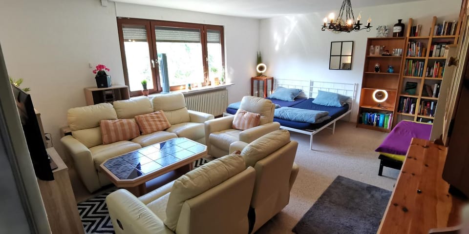Library, TV and multimedia, Living room, Seating area