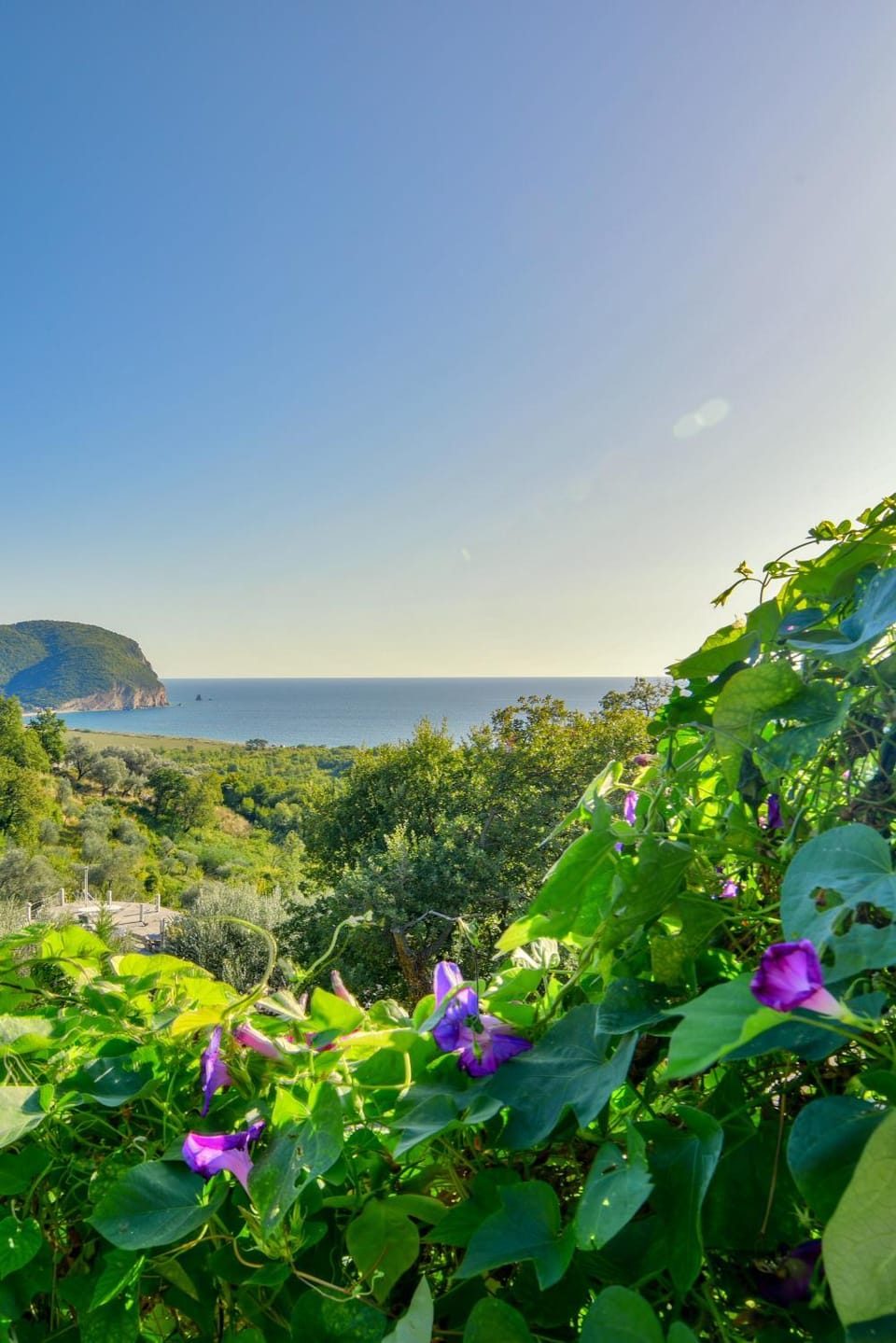 Natural landscape, Sea view