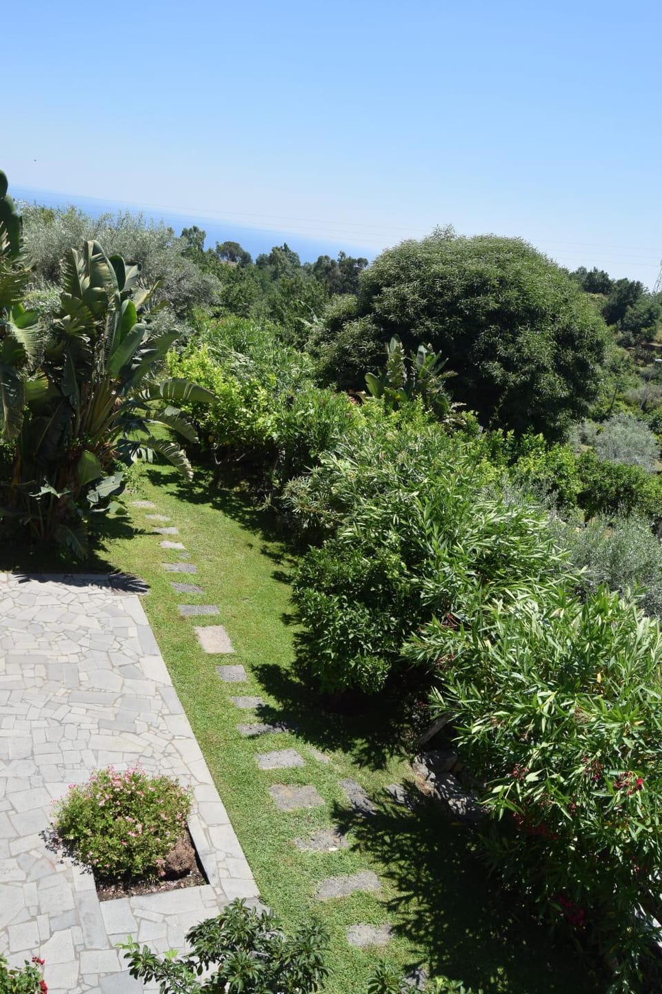 Garden, Garden, Garden view