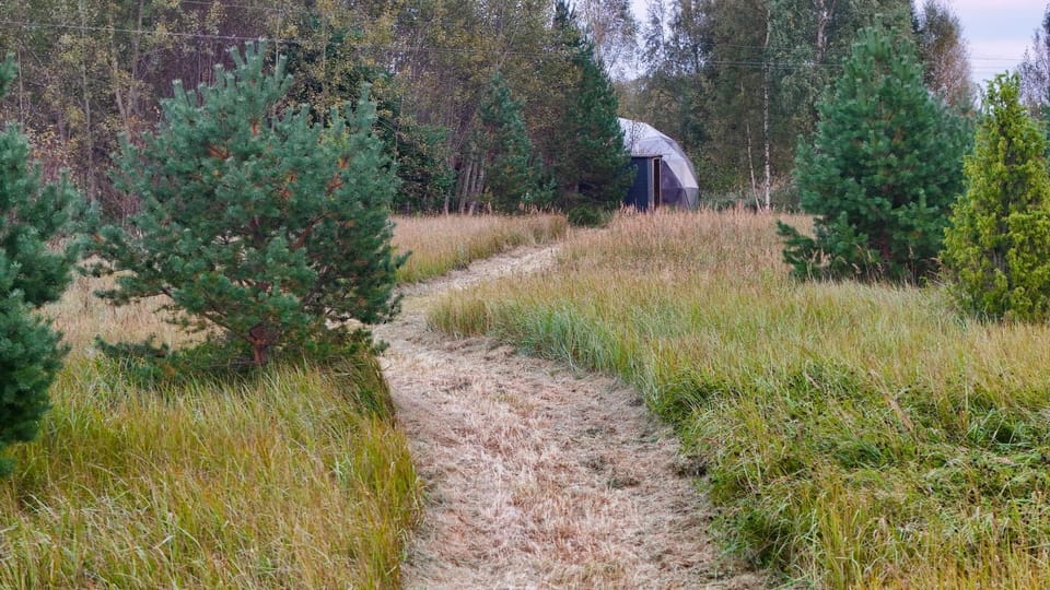 Day, Natural landscape, Garden view
