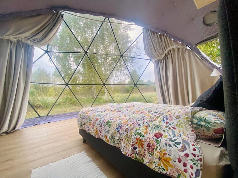Spring, Bed, Garden, Photo of the whole room, Bedroom, Garden view