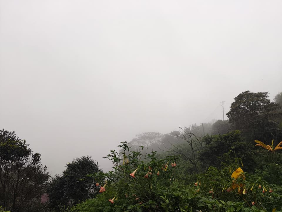 Zawa Home stay,coorg Bed and Breakfast in Madikeri