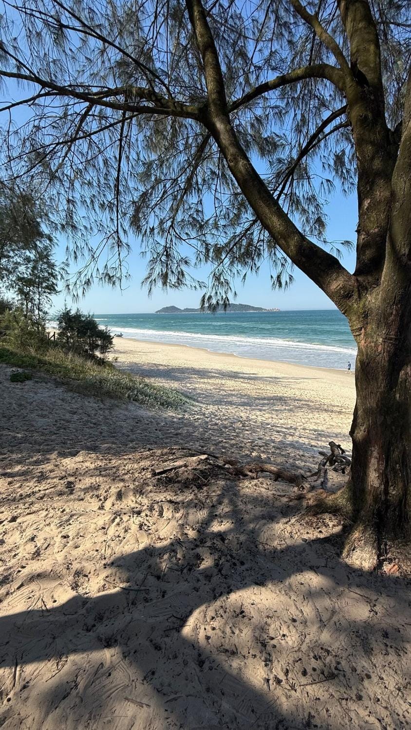 Exclusive loft 10 steps from the Campeche sea! Apartment in Florianopolis