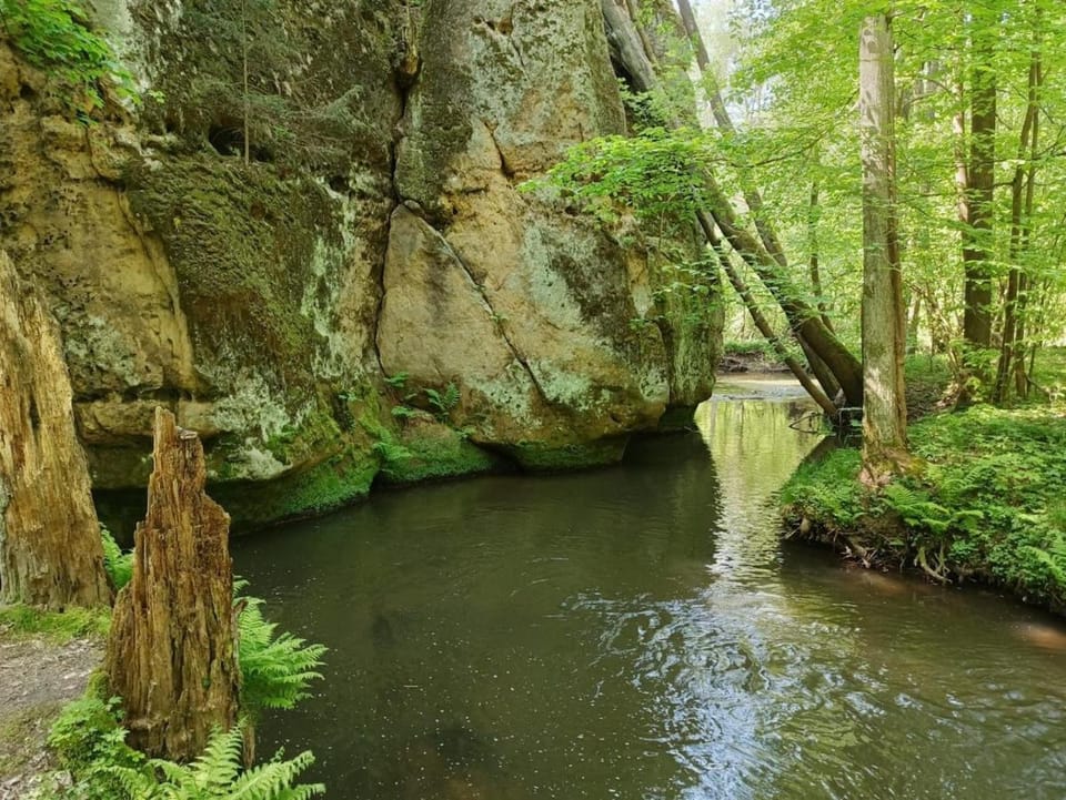 U Studánky Apartment in Czechia