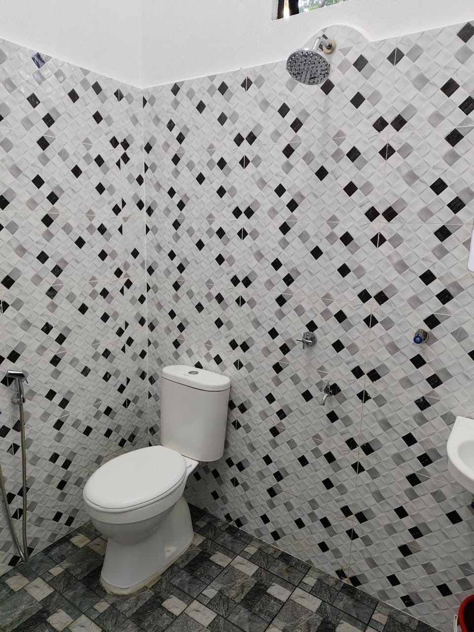 Shower, Toilet, Bathroom, bidet