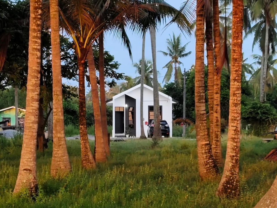 Property building, Natural landscape