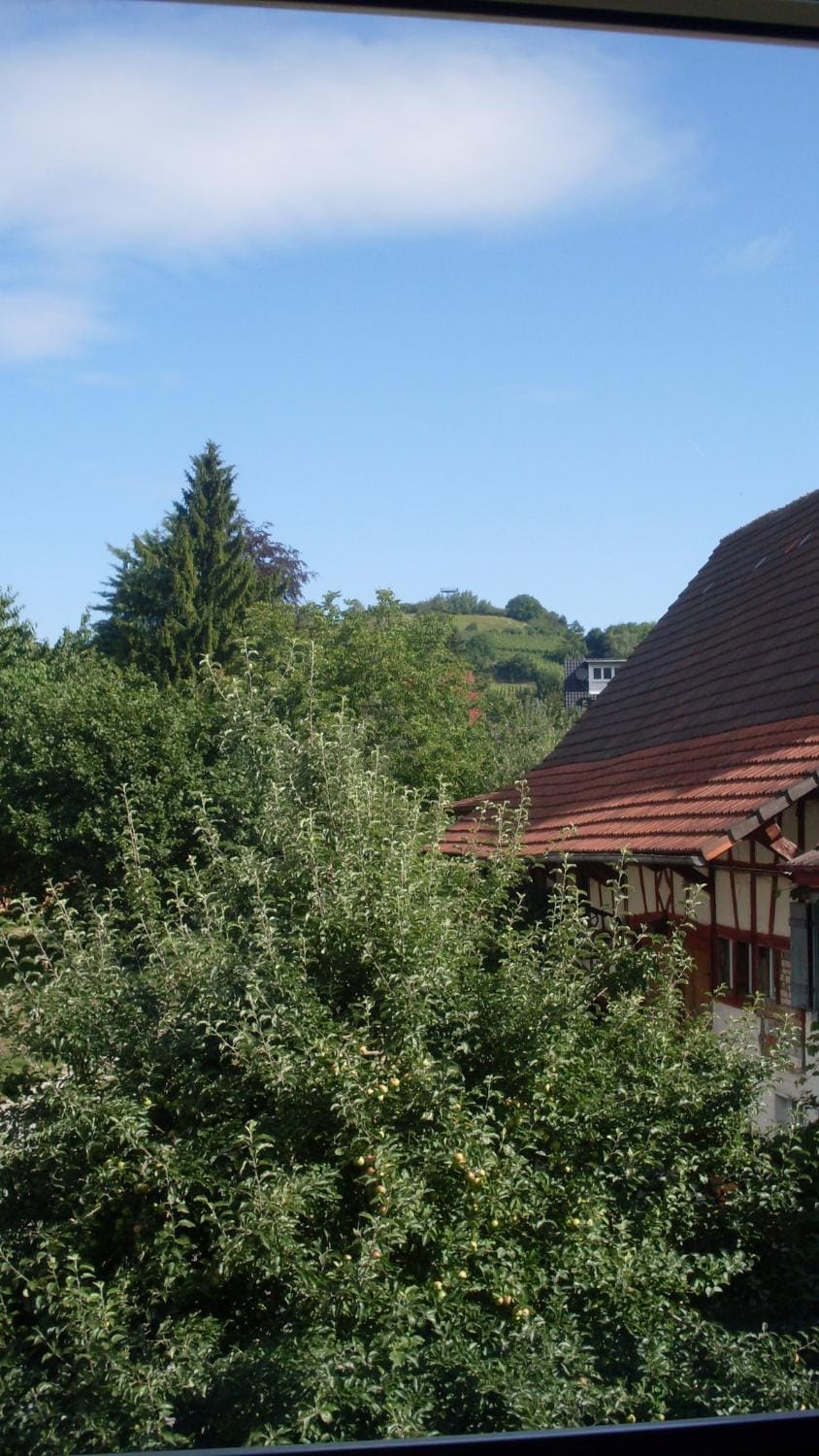 Ferienhaus Bohlingen - Haus 26 House in Singen