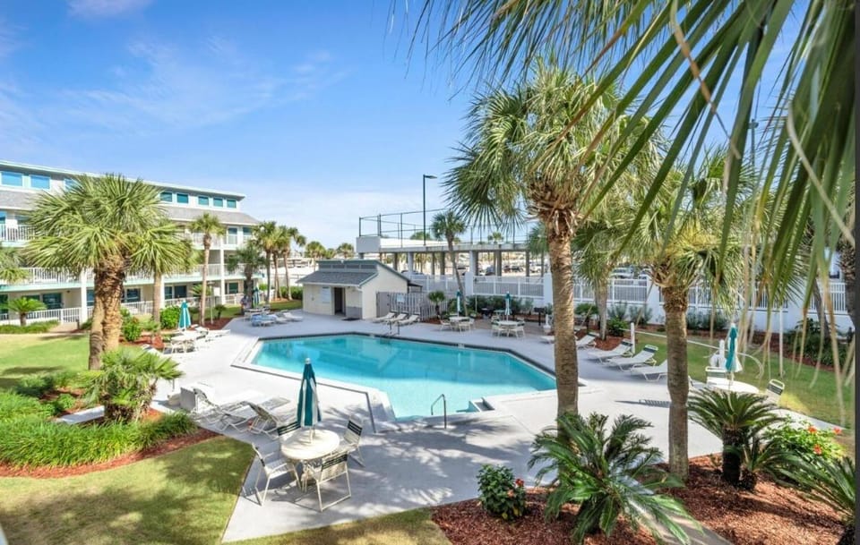 Property building, Pool view, Swimming pool, sunbed