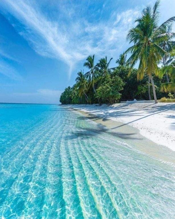 Equator Sandy Beach Bed and Breakfast in Maldives