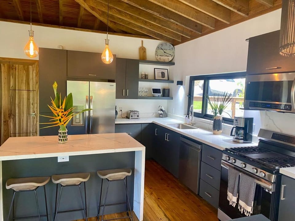 Kitchen or kitchenette, dishwasher, oven, stove