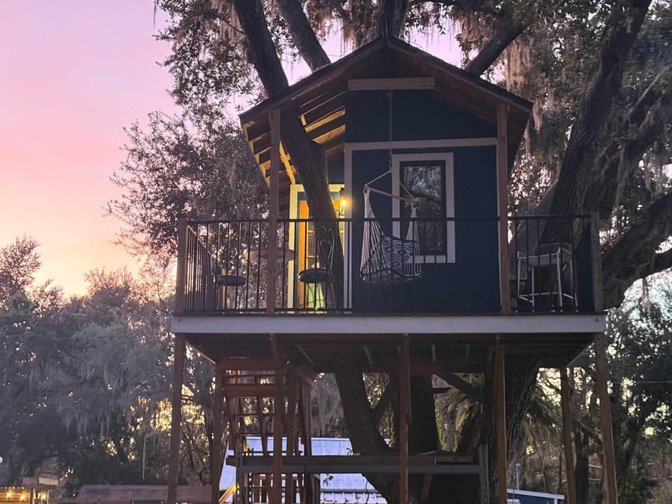 Farmhouse Oasis w Pool Heated Spa Treehouse and Game Room Located Centrally off I-4 House in Plant City