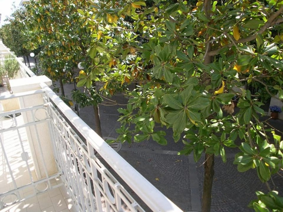 Lina's Apartment Apartment in Grado