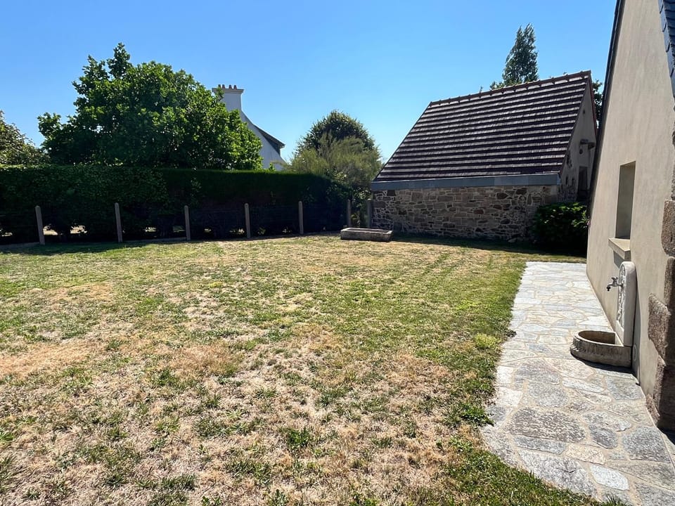 Day, Natural landscape, Garden