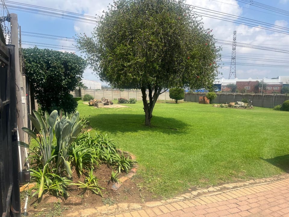 Spring, Day, Natural landscape, Garden, Garden view