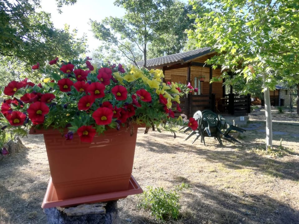 Patio, Facade/entrance