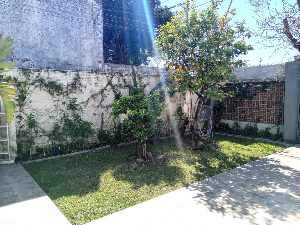 Patio, Garden
