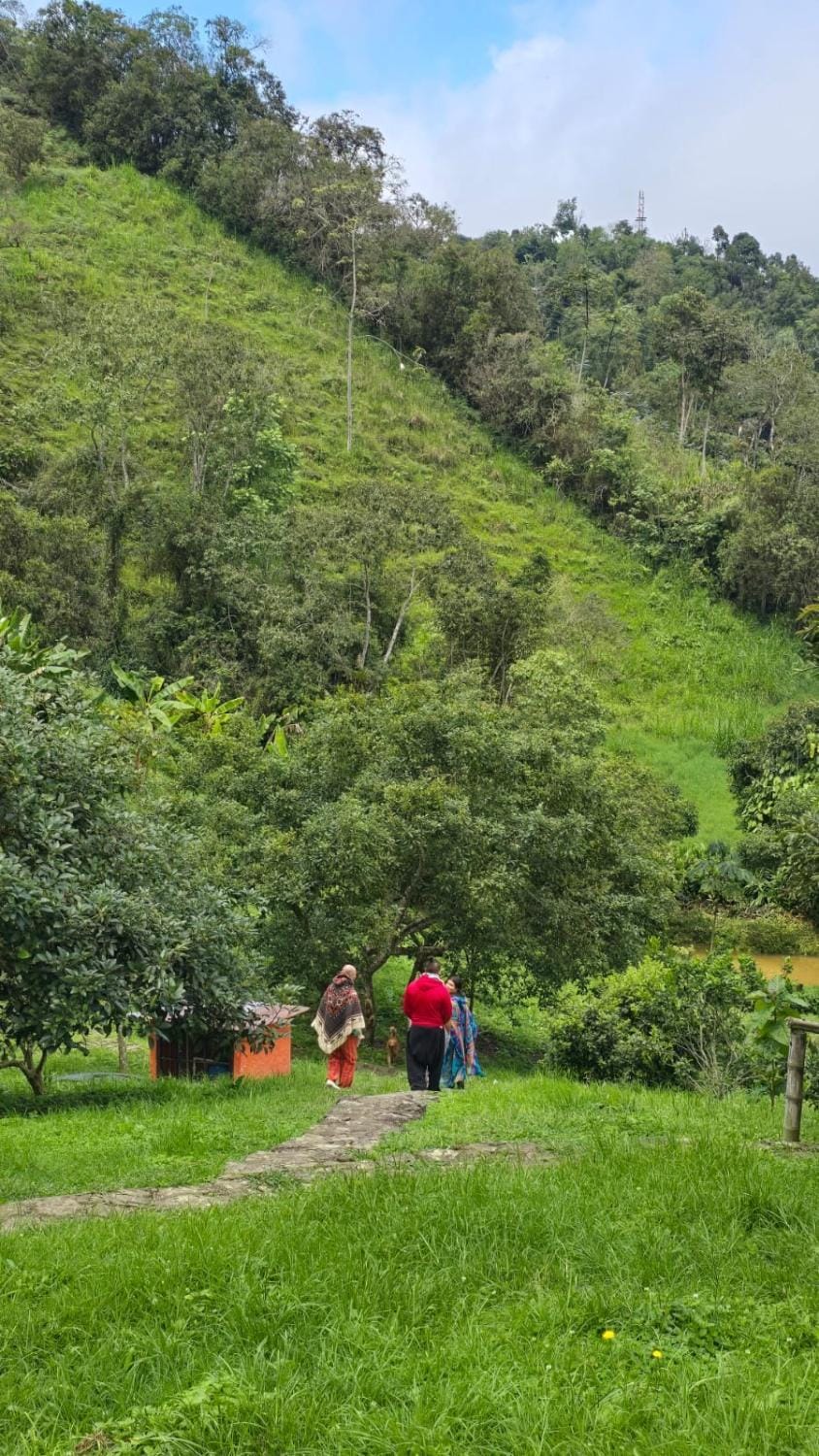 Natural landscape