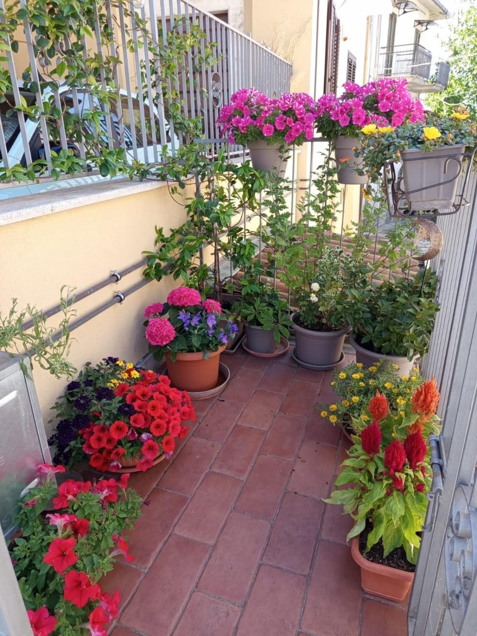 Property building, Garden