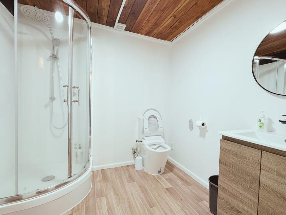 Shower, Toilet, Bathroom, bidet