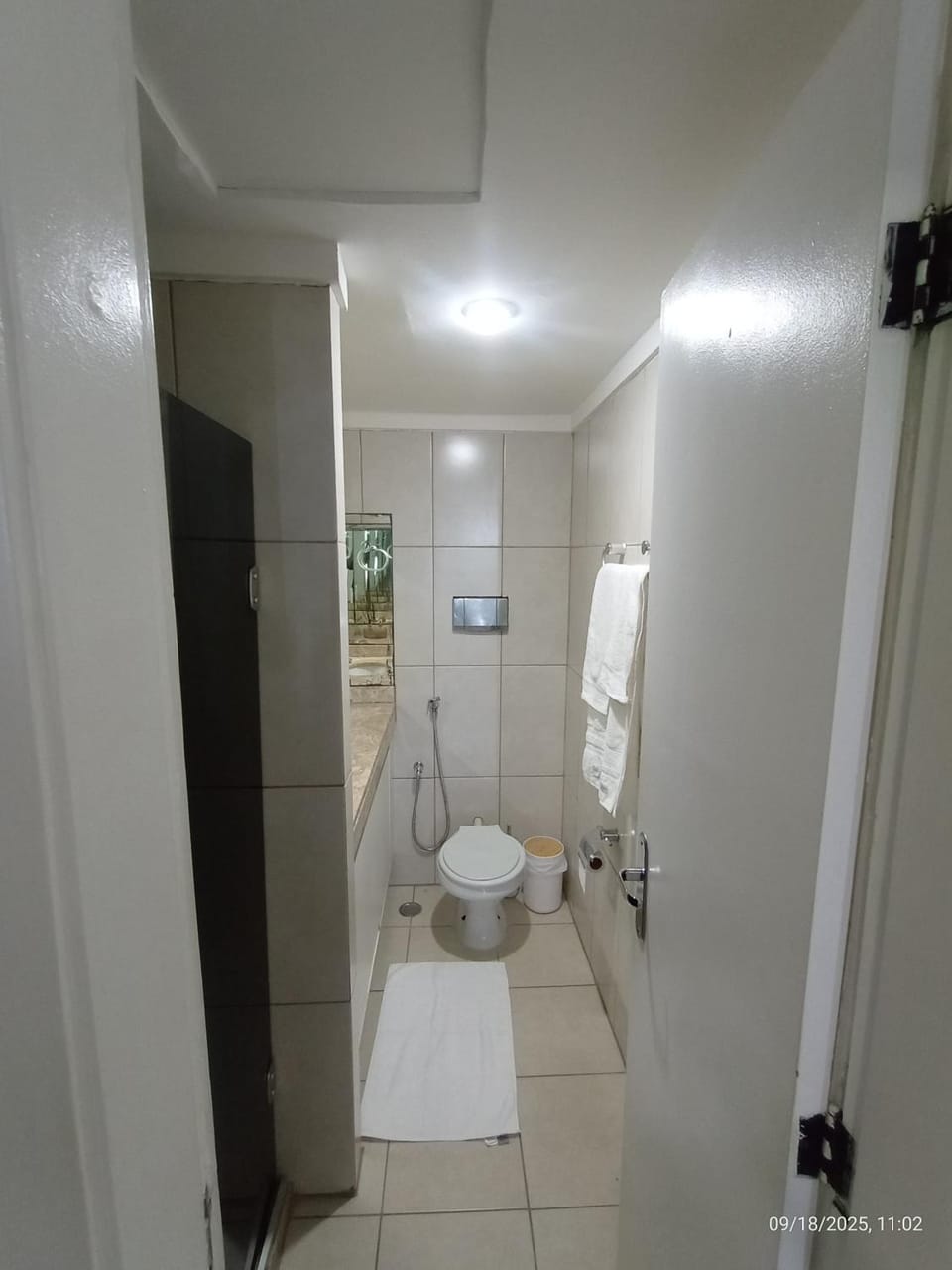 Shower, Bathroom, towels
