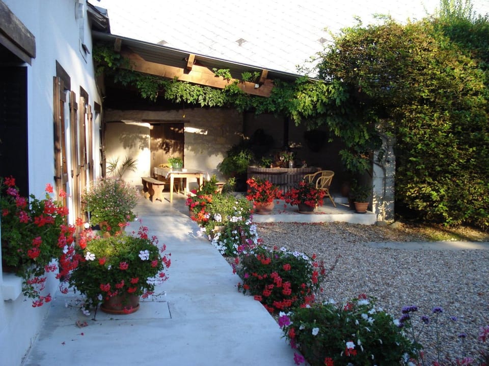 Chambre d'hôtes avec charme discret, à la ferme - FR-1-591-673 Bed and Breakfast in Centre-Val de Loire
