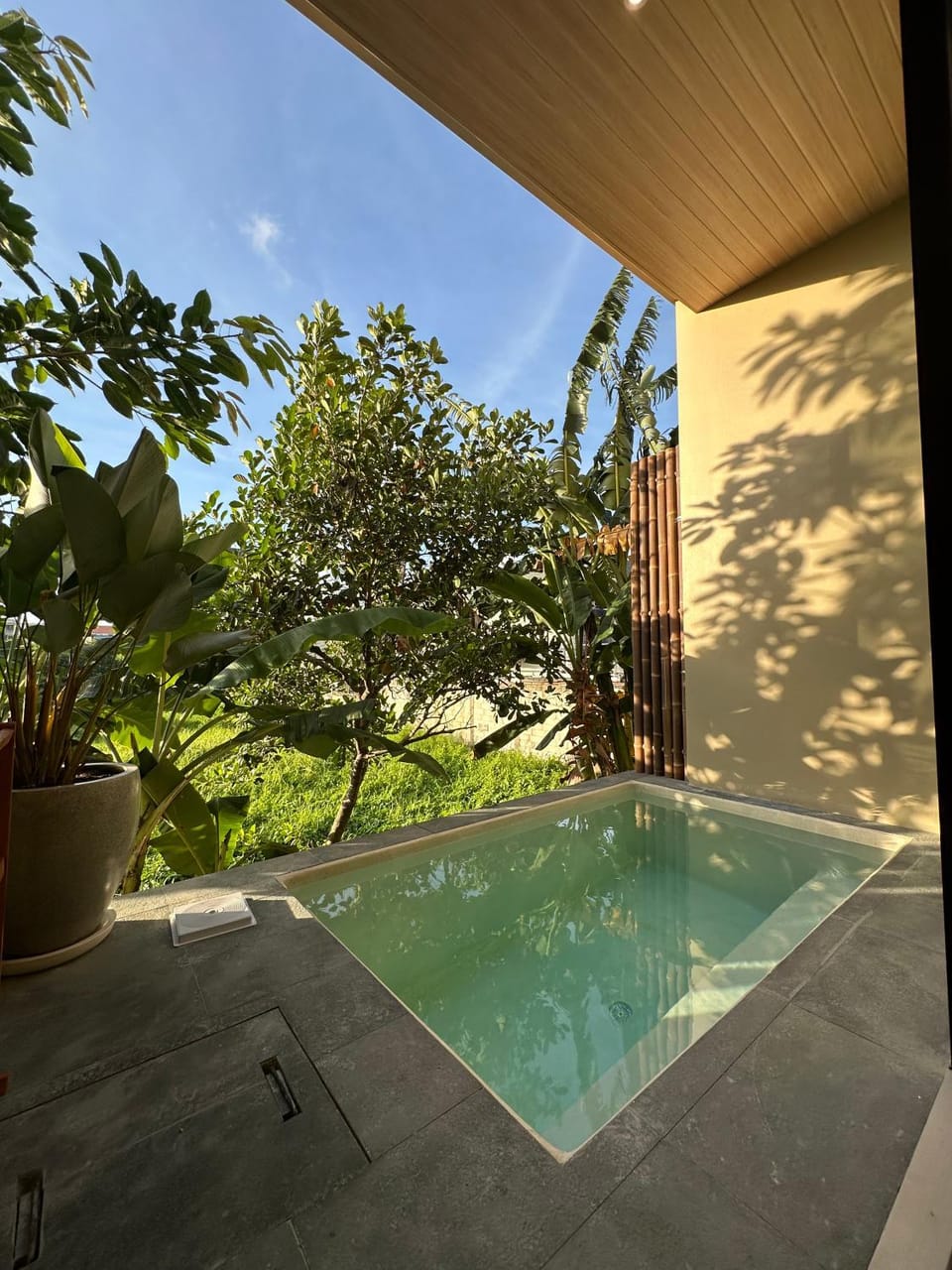 Pool view, Swimming pool