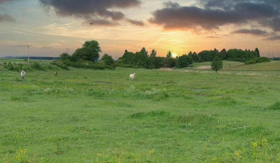 Natural landscape, Sunset