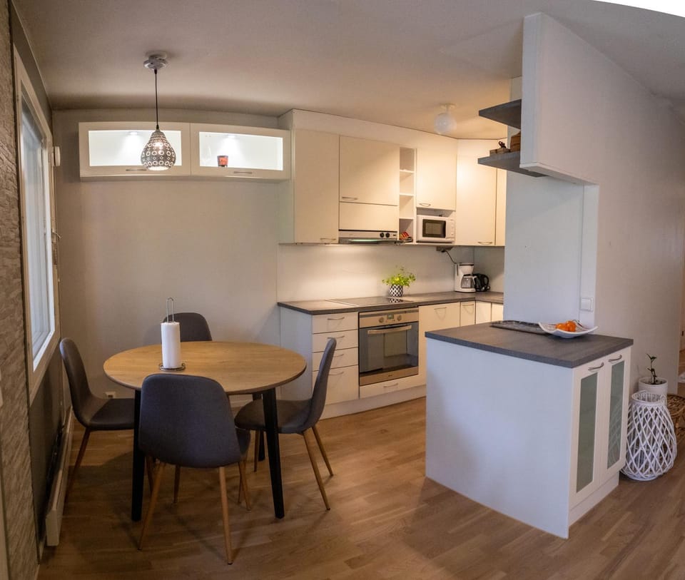 Kitchen or kitchenette, Dining area, oven