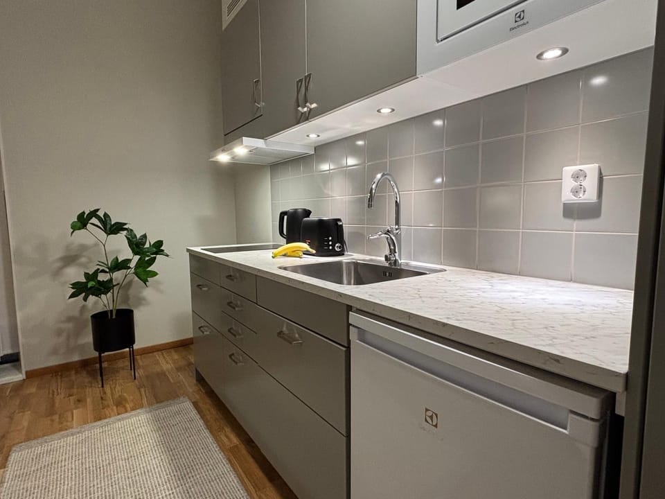 Coffee/tea facilities, Kitchen or kitchenette, stove