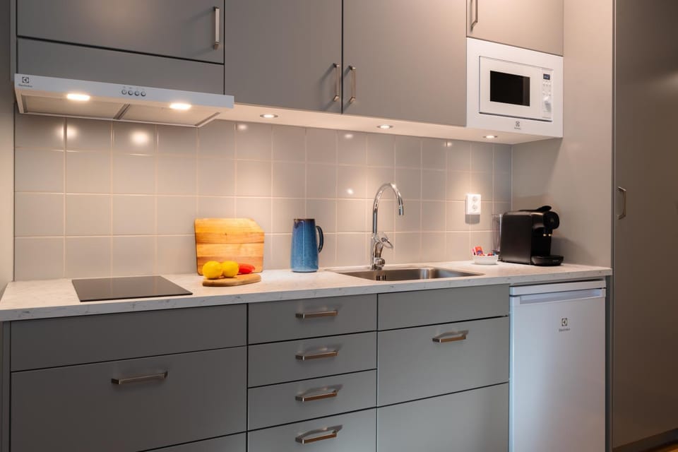 Kitchen or kitchenette, microwave, stove