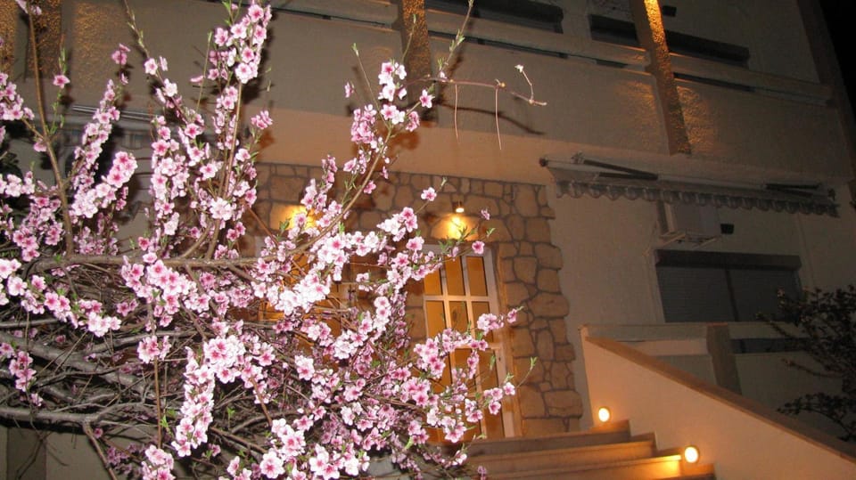 Decorative detail