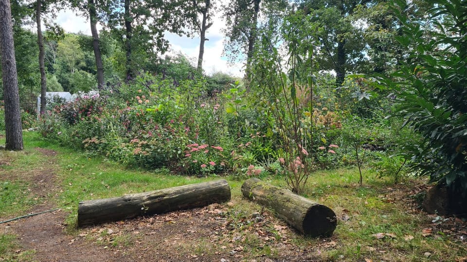 Natural landscape, Garden, Garden view