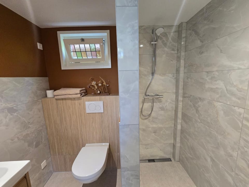 Shower, Toilet, Bathroom, towels