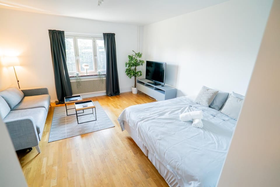Bed, TV and multimedia, Living room, Photo of the whole room, Seating area, Evening entertainment, Bedroom, towels