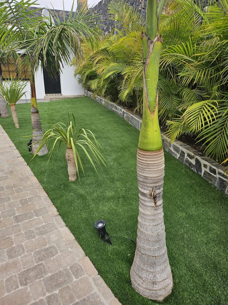 Ibis House in Canary Islands
