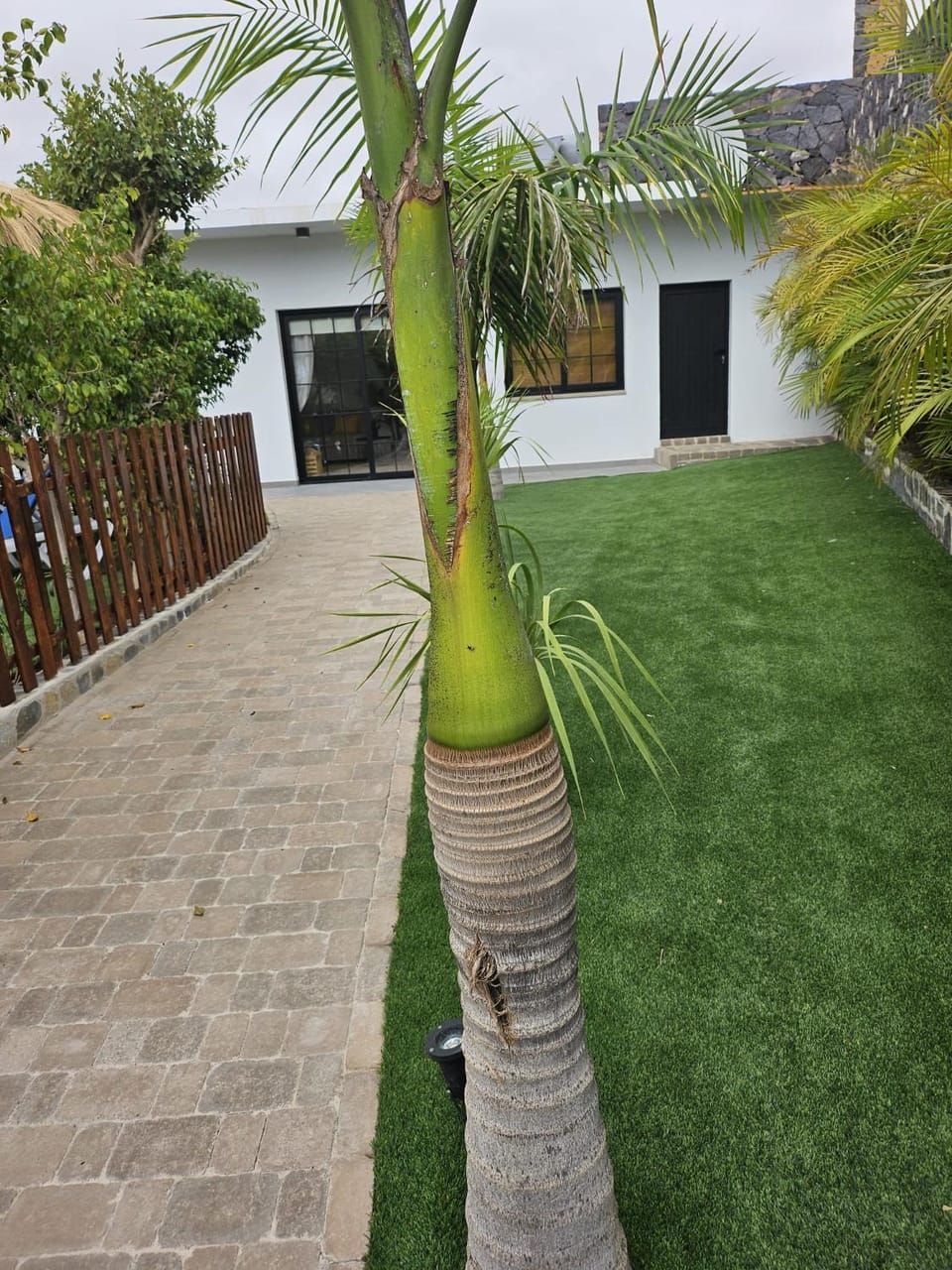 Ibis House in Canary Islands