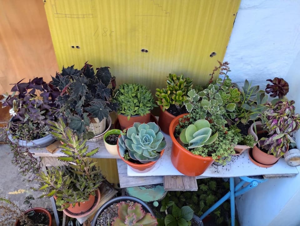 Garden, Garden