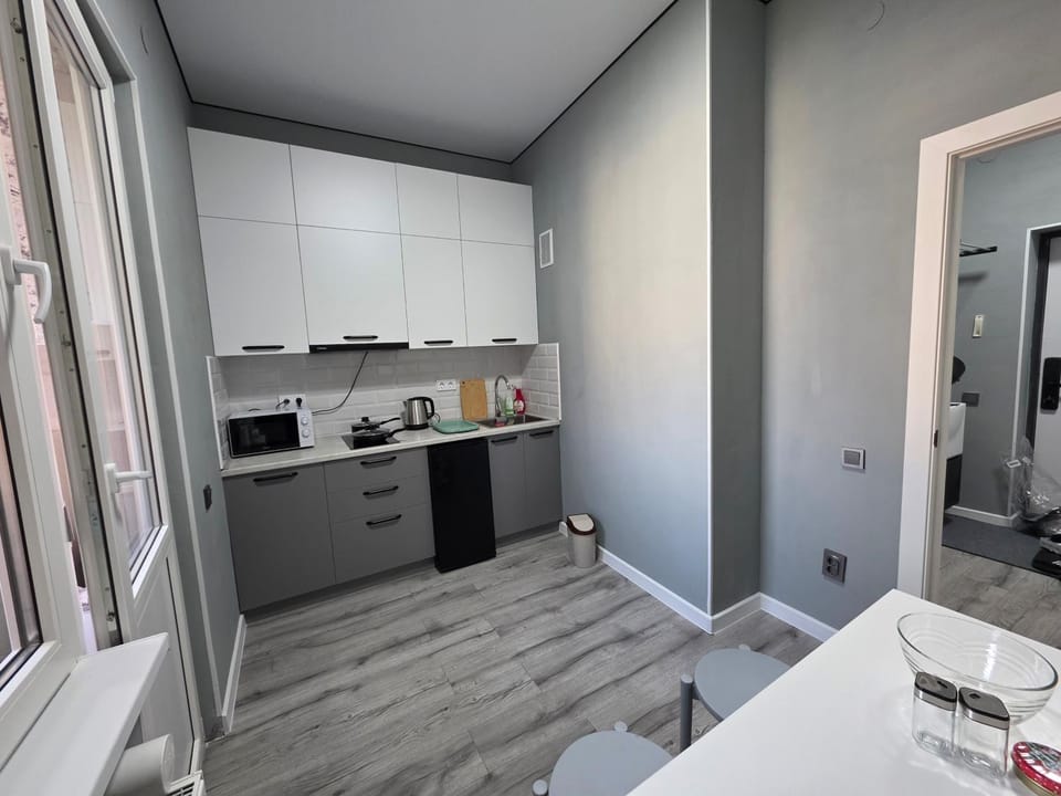 Mountain view apartment Apartment in Almaty