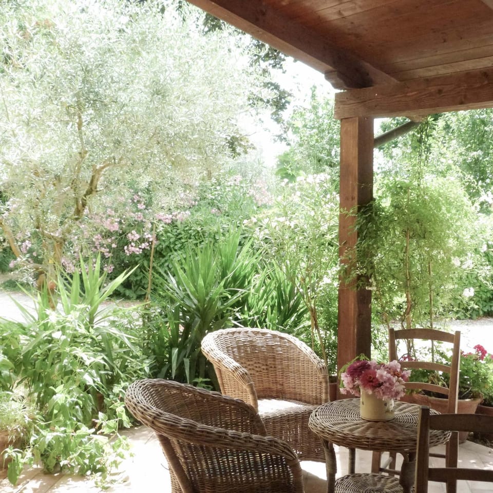 Patio, Garden