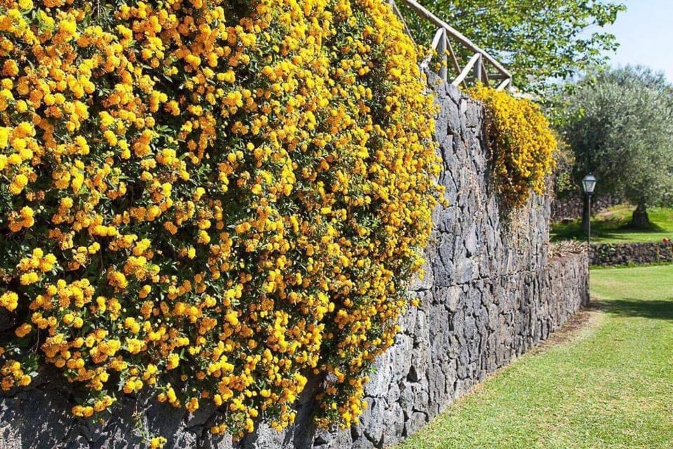 Natural landscape, Garden, Garden view