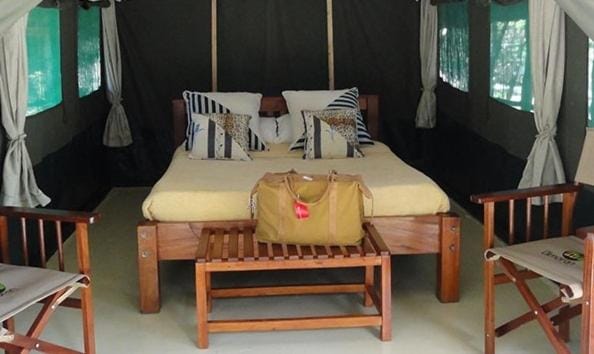 Bed