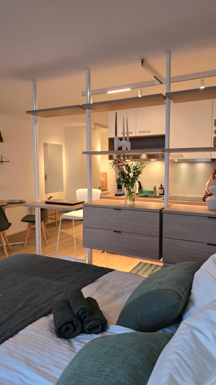 Modern Living - Neubau-Studio mit Stil Apartment in Lörrach